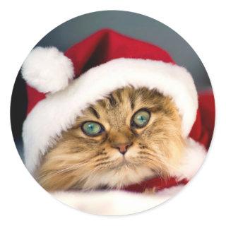 Santa Tabby Cat  Classic Round Sticker