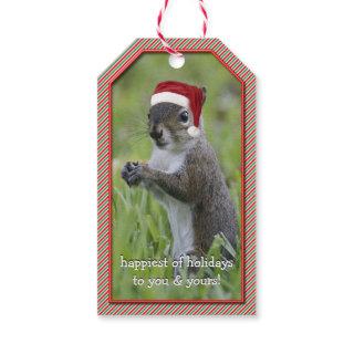 Sarcastic Santa Squirrel Wearing Santa Hat Gift Tags