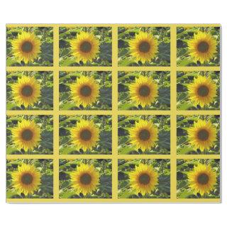 Sassy Summer Sunflowers