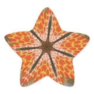 Savanna Star Bloom – A Bold African Animal Print Star Sticker