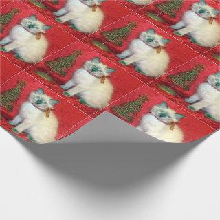 Savannah's Cat Christmas