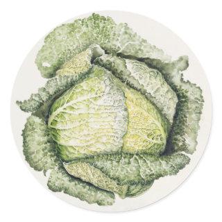 Savoy Cabbage Classic Round Sticker