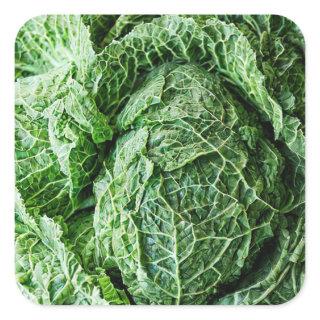 Savoy Cabbage Square Sticker
