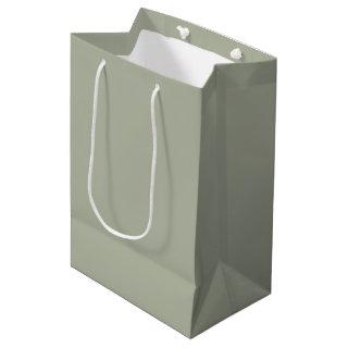 Saybrook Sage Solid Color Medium Gift Bag