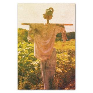 Scarecrow In Garden Field Vintage Decoupage  Tissue Paper