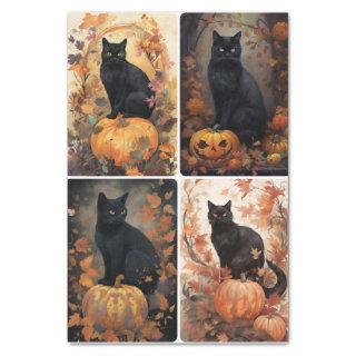 Scaredy Cat  Tissue Paper