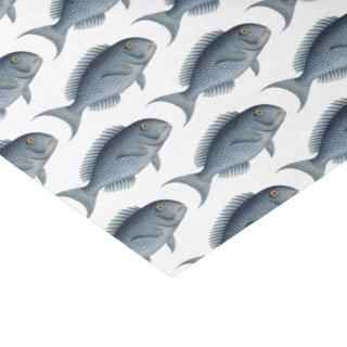 School of Blue Fish Tissue Paper