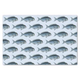 School of Fish Vintage Tissue Paper