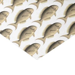 School of Sepia Fish Pattern Vintage Illustration  Tissue Paper