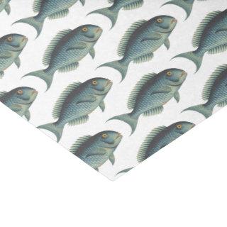 School of Teal-Colored Vintage Fish Repeat Pattern Tissue Paper