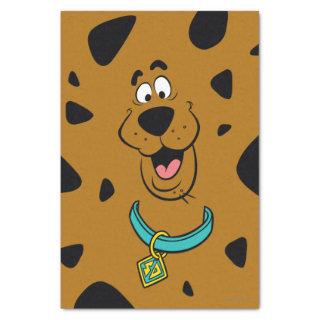 Scooby-Doo Camouflage Tissue Paper