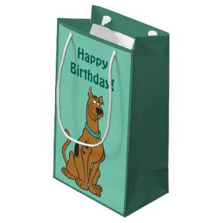Scooby-Doo Puppy Eyes Small Gift Bag