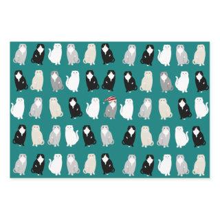 Scottish Fold  Sheets