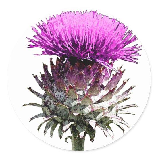 Scottish Thistle Classic Round Sticker