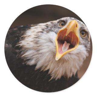 Screaming Eagle Sticker