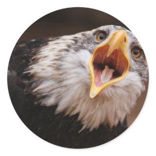 Screaming Eagle Sticker