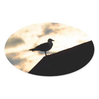 Sea Gull Sunset Oval Sticker