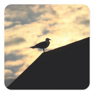 Sea Gull Sunset Square Sticker