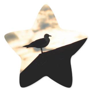 Sea Gull Sunset Star Sticker