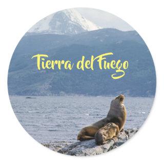 Sea lions in beagle channel - Argentina Classic Round Sticker