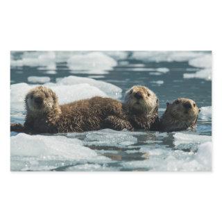 Sea Otter Family Rectangular Sticker