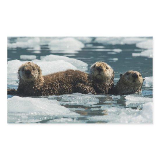 Sea Otter Family Rectangular Sticker