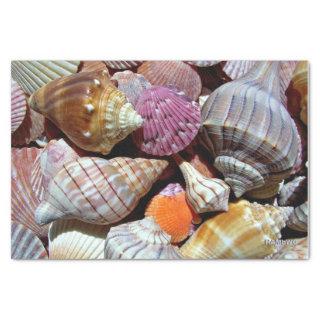 Sea Shell Tissue Paper - HAMbyWG