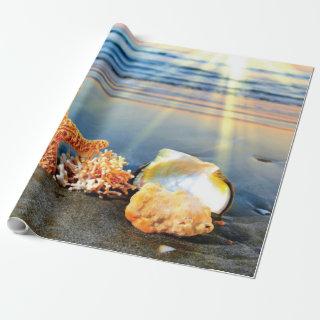 Sea shells and starfish on beach