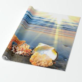 Sea shells and starfish on beach