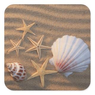 Sea Shells And Starfish Square Sticker