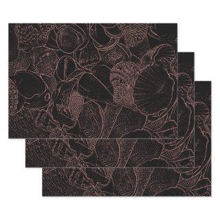 Sea Shells Black Sepia Sketch Art Beach Ocean  Sheets