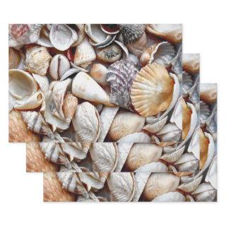 Sea Shells Ocean Beach Beautiful Decoupage  Sheets