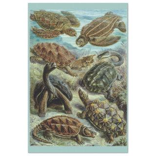 Sea Turtles and Tortoises Decoupage Tissue Paper