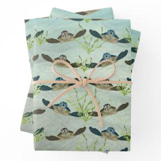 Sea Turtles  Sheets