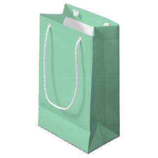 Seafoam Green Solid Color Small Gift Bag