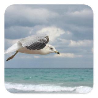 Seagull Flight Square Sticker