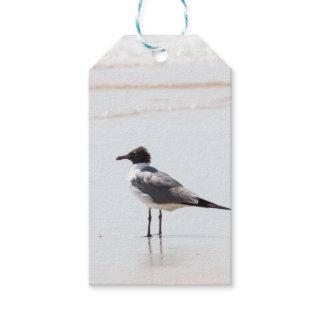 Seagull on the Beach Gift Tags