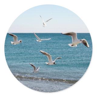 Seagulls Classic Round Sticker