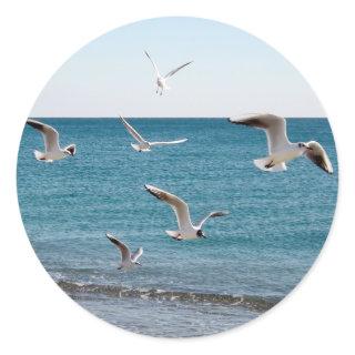 Seagulls Classic Round Sticker