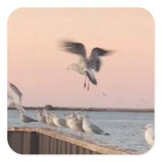 Seagull's Flight Photography by Willowcatdesigns  Square Sticker