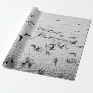 Seagulls in motion, black and white fine art image