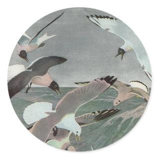 Seagulls Over Ocean Waves by Louis Agassiz Fuertes Classic Round Sticker