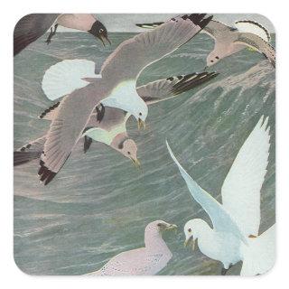 Seagulls Over Ocean Waves by Louis Agassiz Fuertes Square Sticker