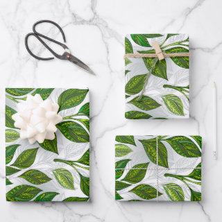 Seamless Pattern with Green Tea Leaves  Sheets