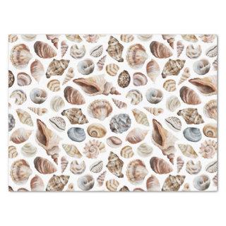 Seashell pattern tissue paper