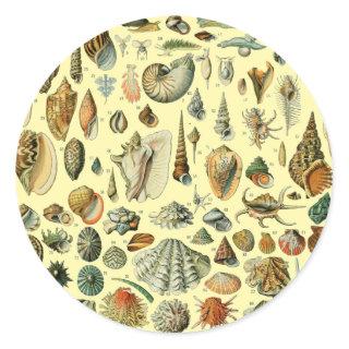 Seashell Shell Mollusk Clam Elegant Classic Art Classic Round Sticker