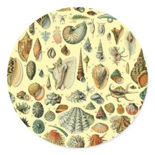 Seashell Shell Mollusk Clam Elegant Classic Art Classic Round Sticker