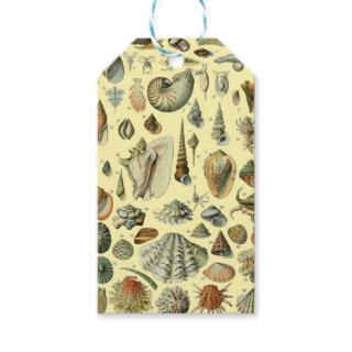 Seashell Shell Mollusk Clam Elegant Classic Art Gift Tags