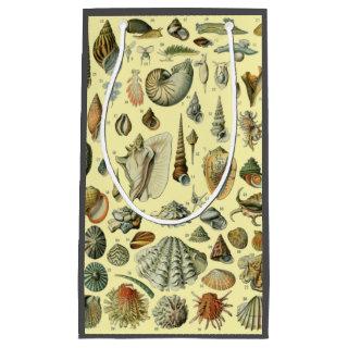 Seashell Shell Mollusk Clam Elegant Classic Art Small Gift Bag