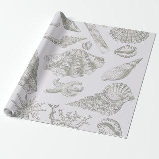 Seashell Soft Antique Art Beach Shells